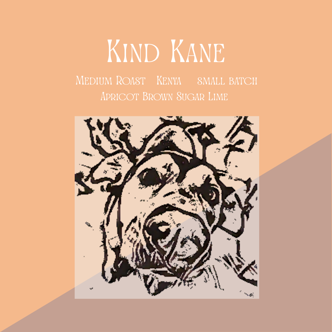 Kind Kane Single Origin